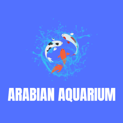 arabianaquarium.com